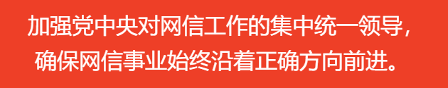 加強黨中央對網信工作的集中統一領導，確保網信事業(yè)始終沿著正確方向前進。